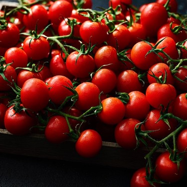 Our all-time favourite summer tomato recipes