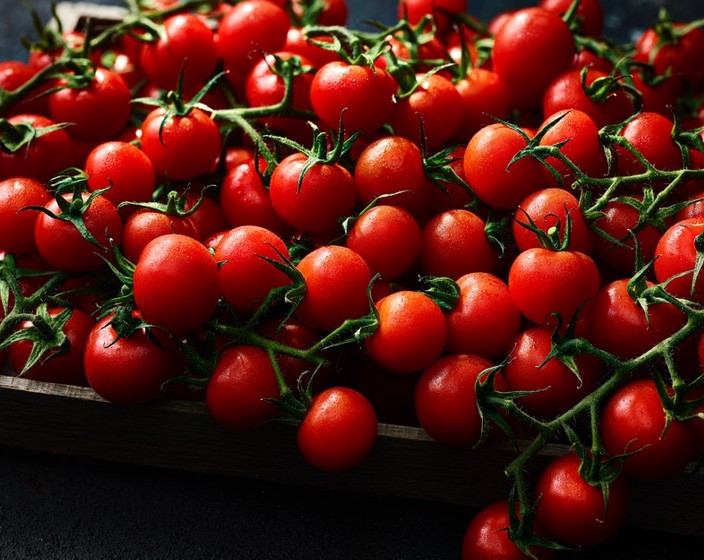Our all-time favourite summer tomato recipes