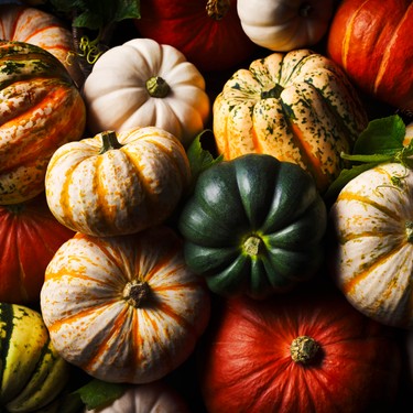Perfect pumpkin recipes