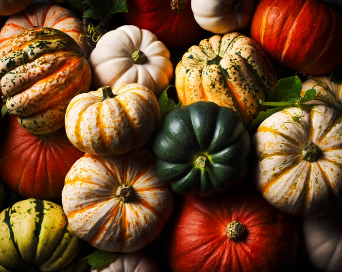 Perfect pumpkin recipes