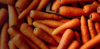 Carrot
