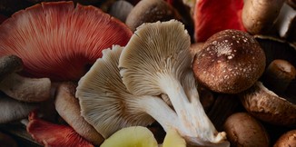 Mushrooms