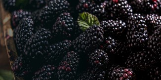 Blackberries