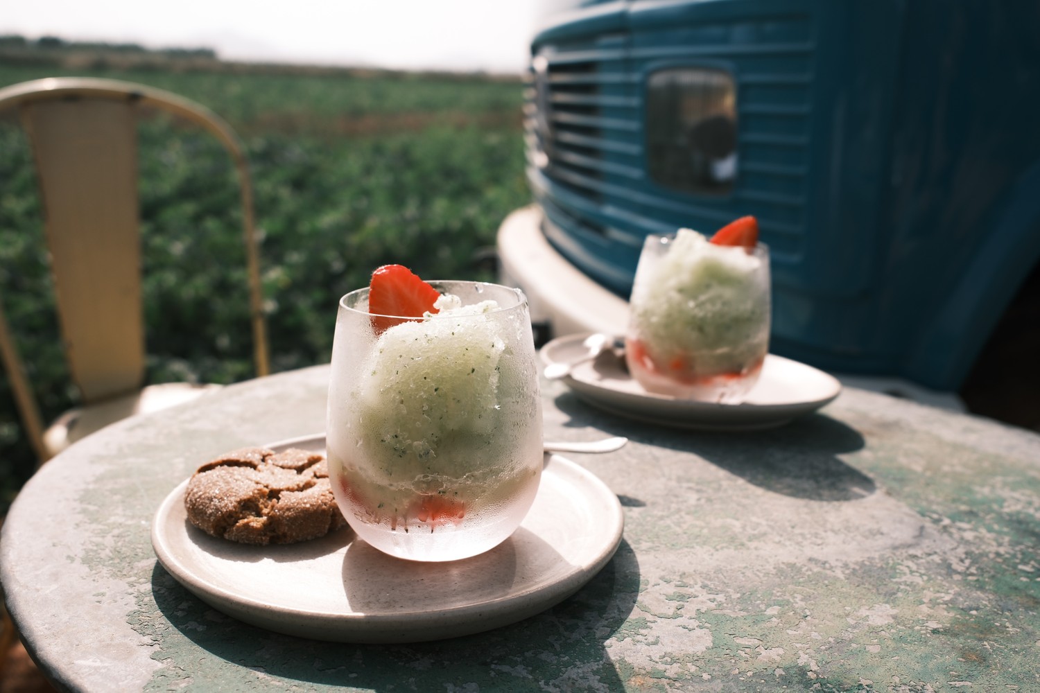 Melon, basil granita and ginger cookies recipe