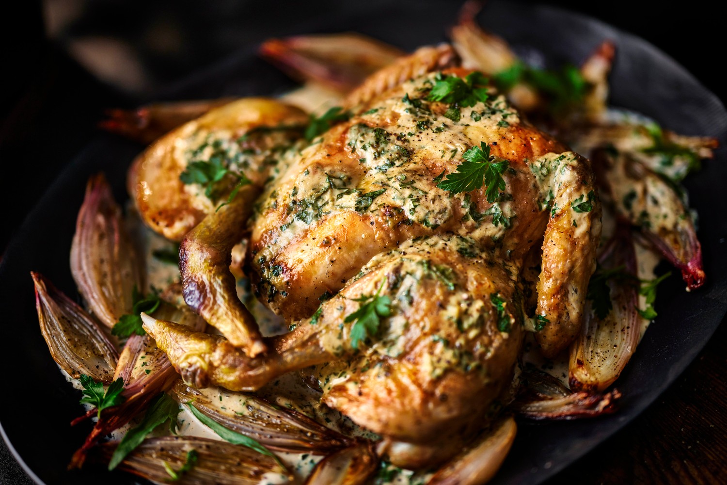Creamy spatchcock roast chicken recipe