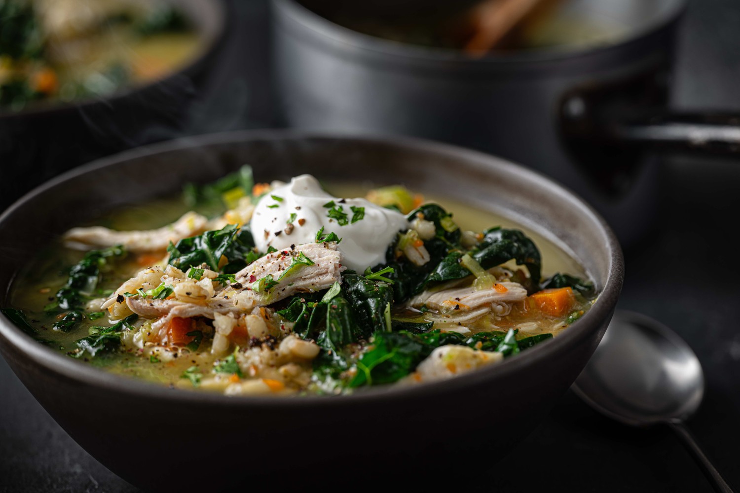 Healthy chicken and pearl barley soup
